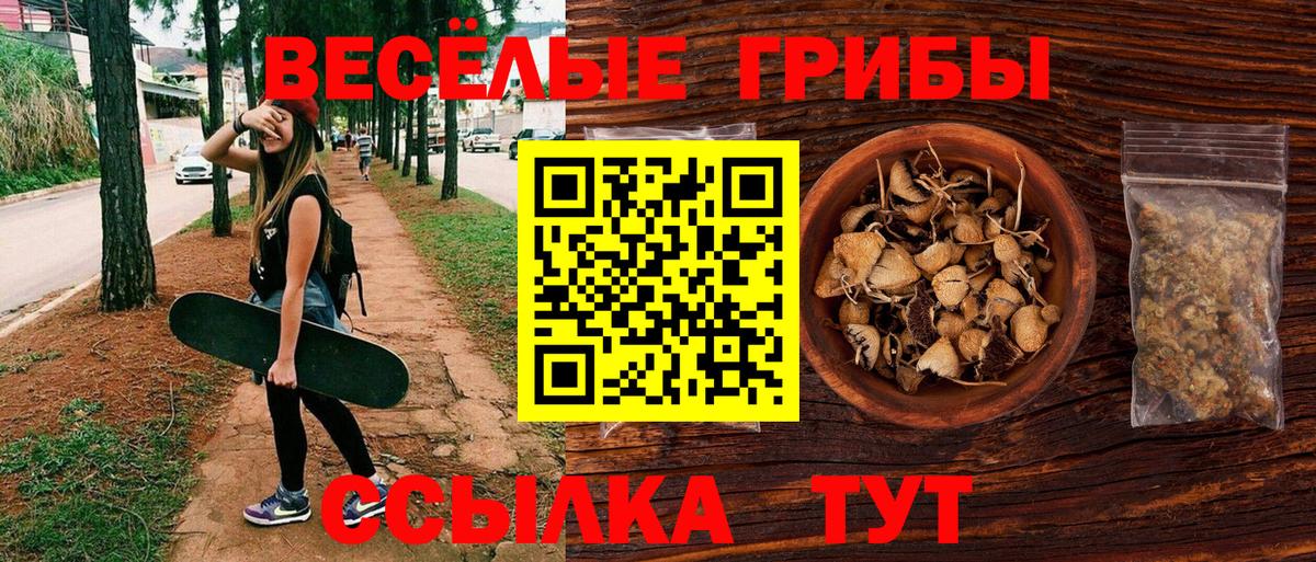 Псилоцибиновые грибы Psilocybe  Вход с VPN  Кимры 